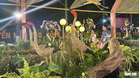 Khai trương đường hoa xuân Giáp Thìn duy nhất miền Tây- Ảnh 4. Đại cảnh Nơi đàn sếu về nguồn tại đường hoa. Sếu là một trong những động vật hoang dã đang được lập đề án bảo tồn tại Vườn quốc gia Tràm Chim - Ảnh: ĐẶNG TUYẾT