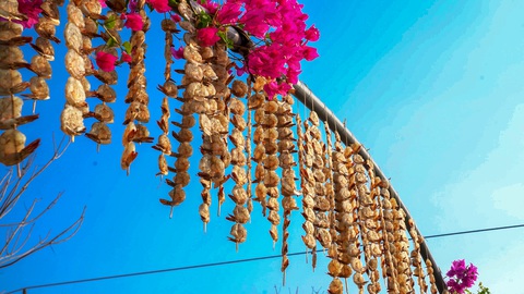 Làm tôm lụi ở vựa tôm lớn nhất nước để thết đãi bạn bè ngày Tết- Ảnh 5. Tôm được phơi dưới nắng gắt và có nhiều gió, sau một ngày là có thể dùng được - Ảnh: THANH HUYỀN