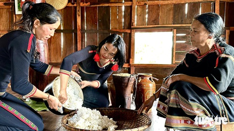 Cơm ủ rượu cần lấy từ gạo do chính người trong buôn nấu - Ảnh: MINH PHƯƠNG Cơm ủ rượu cần lấy từ gạo do chính người trong buôn trồng - Ảnh: MINH PHƯƠNG