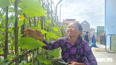 Bà Thân Thị Đi chăm sóc vườn rau xanh mướt trong ngôi nhà mới - Ảnh: LÂM THIÊN Bà Thân Thị Đi chăm sóc vườn rau xanh mướt trong ngôi nhà mới - Ảnh: LÂM THIÊN