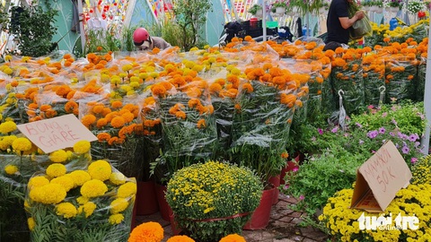 Thời tiết miền Tây mát dịu, chợ hoa đông khách nhưng sức mua vẫn yếu- Ảnh 1. Sáng 29 tháng chạp, nhiều điểm bán hoa đã treo bảng giảm giá, bảng "hoa rẻ"