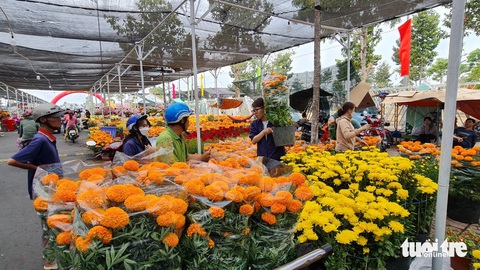Thời tiết miền Tây mát dịu, chợ hoa đông khách nhưng sức mua vẫn yếu- Ảnh 4. Nhiều tiểu thương tại chợ hoa Mỹ Tho hy vọng với thời tiết mát mẻ như thế này thì người dân sẽ đi chợ hoa đông hơn, sức mua theo đó sẽ mạnh lên