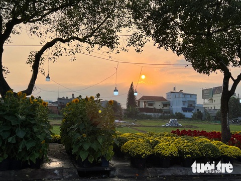 Khung cảnh bán hoa Tết ngoại thành gợi nhiều hoài niệm - Ảnh: MÂY TRẮNG Khung cảnh bán hoa Tết ngoại thành gợi nhiều hoài niệm - Ảnh: MÂY TRẮNG
