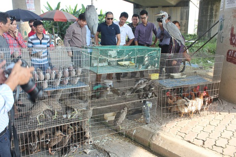 Săn ‘đặc sản’ thú rừng ăn Tết, coi chừng nguy cơ nhiễm bệnh từ động vật hoang dã- Ảnh 2. Săn ‘đặc sản’ thú rừng ăn Tết, coi chừng nguy cơ nhiễm bệnh từ động vật hoang dã- Ảnh 2.