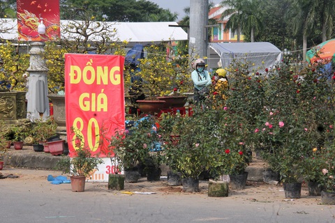 Người bán hoa Tết ở Quảng Ngãi: Mua giúp đi, xả lỗ rồi đừng trả nữa- Ảnh 6. Không bán được hàng, một chủ hoa chơi chiêu