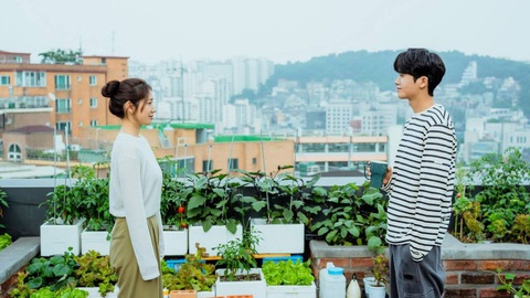 Park Shin Hye quay lại làm bác sĩ trong phim gây sốt Doctor Slump- Ảnh 4. Doctor Slump mang đến những thước phim nhẹ nhàng dù nói về đề tài y khoa - Ảnh: Soompi