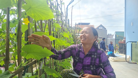 Bà Thân Thị Đi chăm sóc vườn rau xanh mướt trong ngôi nhà mới - Ảnh: LÂM THIÊN Chế độ ăn uống lành mạnh sẽ phòng chống được nhiều bệnh, trong đó có gan nhiễm mỡ - Ảnh minh họa: LÂM THIÊN