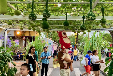 Xúng xính áo mới với đường hoa đêm giao thừa- Ảnh 12. Những giàn mướp, bầu tại đường hoa xuân Nha Trang khiến các du khách thích thú - Ảnh: THY KHUÊ