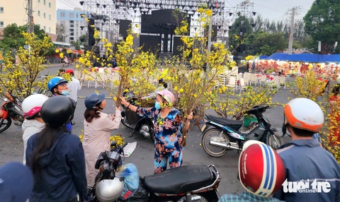 Rộn ràng sắc vàng tại 'chợ mai di động' ở TP Long Xuyên ngày 30 Tết- Ảnh 1. Một số người chọn mua nhánh mai vàng vào sáng 30 Tết Nguyên đán Giáp Thìn - Ảnh: NGỌC KHẢI