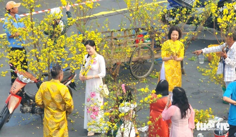 Rộn ràng sắc vàng tại 'chợ mai di động' ở TP Long Xuyên ngày 30 Tết- Ảnh 4. Nơi mua bán các nhánh mai vàng sáng 30 Tết Nguyên đán Giáp Thìn thu hút một số người đến chụp ảnh, tham quan - Ảnh: NGỌC KHẢI