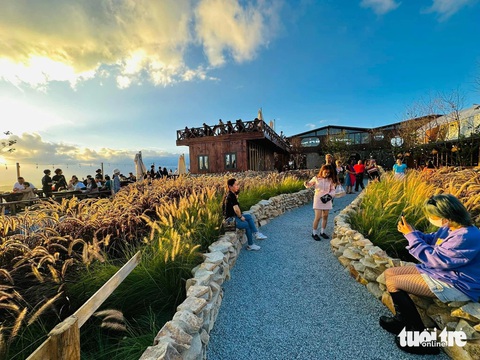 Ngày Tết đến Đà Lạt check-in ở đâu?- Ảnh 1. Các điểm "check-in" luôn được du khách trẻ săn tìm khi đến Đà Lạt - Ảnh: M.V.