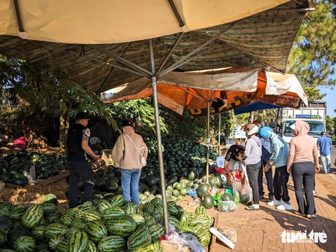 Dưa hấu Tây Nguyên chiều 30 Tết giá nào cũng bán- Ảnh 4. Một vựa dưa hấu tấp nập người mua trước khu du lịch Biển Hồ, Pleiku - Ảnh: TẤN LỰC