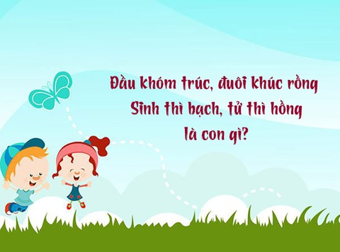 Câu đố hack não: Con gì sinh thì bạch, tử thì hồng?- Ảnh 1. Câu đố hack não: Con gì sinh thì bạch, tử thì hồng?- Ảnh 1.