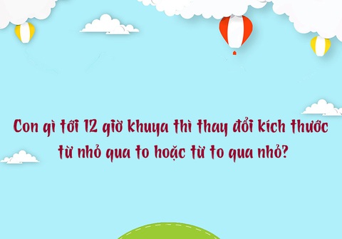 Câu đố vui ngày Tết: Trong 12 con giáp, con gì nổi tiếng nhờ phụ nữ?- Ảnh 3. Câu đố vui ngày Tết: Trong 12 con giáp, con gì nổi tiếng nhờ phụ nữ?- Ảnh 3.