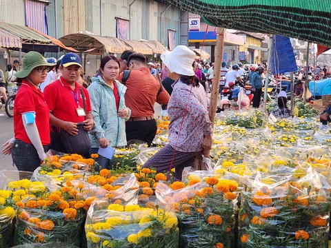 Chiều 30 Tết, TP.HCM mua thêm 3.000 chậu hoa 'giải cứu' cho tiểu thương- Ảnh 3. Đội thu mua hoa của Sở Du lịch TP và đại diện quận 8 đi đánh giá, thống kê số hoa chưa bán hết của tiểu thương.