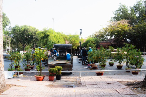 Những chậu quýt cuối cùng đang được gấp rút chào bán. Còn lại bao nhiêu sẽ bị mang bỏ hoặc mang về lại các nhà vườn để trả mặt bằng - Ảnh: THANH HIỆP Những chậu quất (tắc) cuối cùng đang được gấp rút chào bán. Còn lại bao nhiêu sẽ bị mang bỏ hoặc chở về lại các nhà vườn để trả mặt bằng - Ảnh: THANH HIỆP