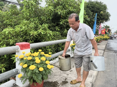 Hơn 3.000 chậu vạn thọ chưng bên lề đường ở Cần Thơ- Ảnh 3. Cứ sáng và chiều người dân tưới nước chăm sóc hoa trong những ngày qua - Ảnh: LAN NGỌC