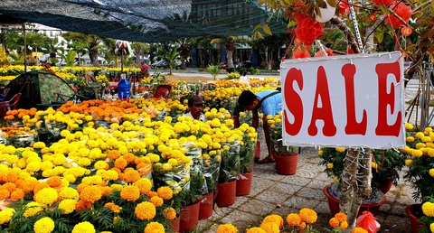 Chưa đến giao thừa, nhiều nơi đã ‘bán đổ bán tháo’ hoa Tết- Ảnh 3. Ông Hùng (tỉnh Bến Tre) phải treo bảng sale nhưng vẫn vắng người mua - Ảnh: THANH HUYỀN