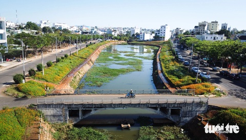 'Đầm lầy' giữa phố Pleiku biến hình thành suối hoa rực rỡ- Ảnh 1. Suối Hội Phú giữa lòng Pleiku đã thoát cảnh ô nhiễm, trở thành suối hoa rực rỡ - Ảnh: TẤN LỰC