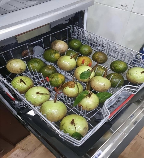 'Công dụng' không ngờ của chiếc máy rửa bát- Ảnh 3. Chẳng biết có ổn không? Đã có ai thử chưa nè?