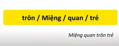 Thử tài tiếng Việt: Sắp xếp các từ sau thành câu có nghĩa (P18)- Ảnh 2. Thử tài tiếng Việt: Sắp xếp các từ sau thành câu có nghĩa (P18)- Ảnh 2.