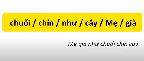 Thử tài tiếng Việt: Sắp xếp các từ sau thành câu có nghĩa (P18)- Ảnh 4. Thử tài tiếng Việt: Sắp xếp các từ sau thành câu có nghĩa (P18)- Ảnh 4.