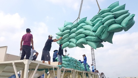 Năm 2023, Việt Nam xuất khẩu hơn 7 triệu tấn gạo ra các nước trên thế giới - Ảnh: BỬU ĐẤU Năm 2023, Việt Nam xuất khẩu hơn 7 triệu tấn gạo ra các nước trên thế giới - Ảnh: BỬU ĐẤU