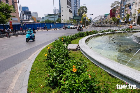 Công viên trước UBND TP.HCM có diện mạo mới- Ảnh 13. Hoa cũng nở rộ tại giao lộ Nguyễn Huệ - Lê Lợi, còn gọi là bùng binh Cây Liễu