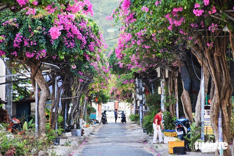 Mê mẩn với hoa giấy, hoa xoài tại Khánh Hòa- Ảnh 2. Tuyến đường Bạch Thái Bưởi được người dân trồng hoa giấy hai bên - Ảnh: TRẦN HOÀI