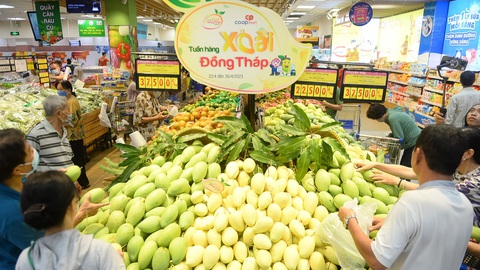 Saigon Co.op ký kết xây dựng chuỗi cung ứng xanh bền vững- Ảnh 1. Các mặt hàng nông sản Việt thêm cơ hội bước ra thị trường thế giới thông qua hợp tác với Saigon Co.op - Ảnh: QUANG ĐỊNH