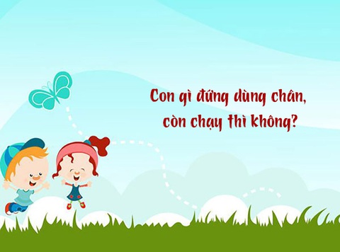 Câu đố hack não: Con gì chạy không dùng chân?- Ảnh 1. Câu đố hack não: Con gì chạy không dùng chân?- Ảnh 1.