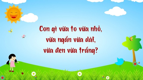 Câu đố hack não: Càng bóp càng cứng là cái gì?- Ảnh 3. Câu đố hack não: Càng bóp càng cứng là cái gì?- Ảnh 3.