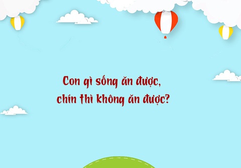 Câu đố hack não: Càng bóp càng cứng là cái gì?- Ảnh 5. Câu đố hack não: Càng bóp càng cứng là cái gì?- Ảnh 5.