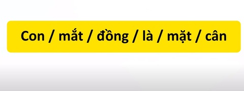 Thử tài tiếng Việt: Sắp xếp các từ sau thành câu có nghĩa (P31)- Ảnh 1. Thử tài tiếng Việt: Sắp xếp các từ sau thành câu có nghĩa (P31)- Ảnh 1.