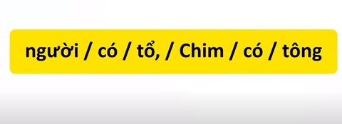 Thử tài tiếng Việt: Sắp xếp các từ sau thành câu có nghĩa (P31)- Ảnh 3. Thử tài tiếng Việt: Sắp xếp các từ sau thành câu có nghĩa (P31)- Ảnh 3.