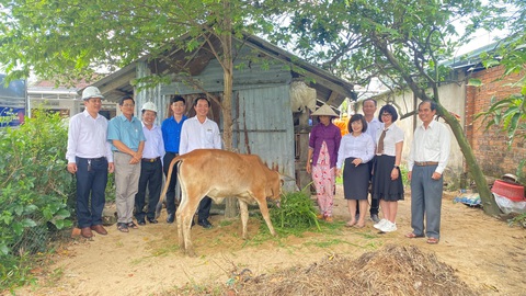 Điện lực Phú Yên trao tặng bê giống cho hộ phụ nữ khó khăn- Ảnh 2. Điện lực Phú Yên trao tặng bê giống cho hộ phụ nữ khó khăn- Ảnh 2.