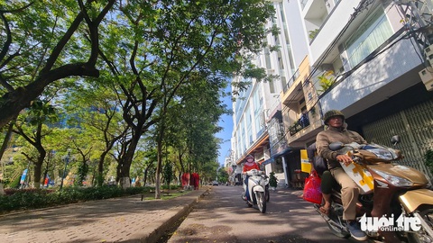 Đường Đô Đốc Bảo rợp bóng cây xanh sẽ trở thành phố đi bộ lý tưởng để người dân và du khách vui chơi, tham quan đêm tại Quy Nhơn - Ảnh: LÂM THIÊN Đường Đô Đốc Bảo rợp bóng cây xanh sẽ trở thành phố đi bộ lý tưởng để người dân và du khách vui chơi, tham quan đêm tại Quy Nhơn - Ảnh: LÂM THIÊN