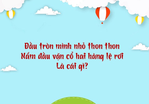 Câu đố hack não: Chim gì nặng 10kg?- Ảnh 3. Câu đố hack não: Chim gì nặng 10kg?- Ảnh 3.