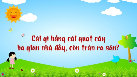 Câu đố hack não: Chim gì nặng 10kg?- Ảnh 5. Câu đố hack não: Chim gì nặng 10kg?- Ảnh 5.