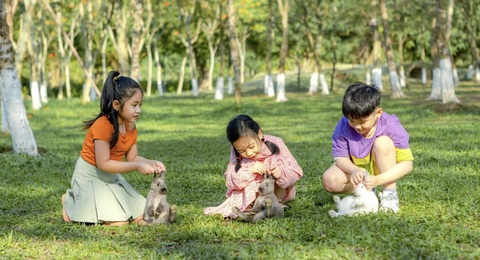 Mạng xã hội xôn xao, hỏi nhau 'bạn đã sống hạnh phúc chưa?'- Ảnh 5. Cư dân nhí Ecopark ngập tràn trong không khí trong lành và cây xanh