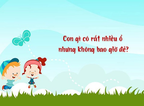 Câu đố hack não: Con gì có rất nhiều ổ nhưng không bao giờ đẻ?- Ảnh 1. Câu đố hack não: Con gì có rất nhiều ổ nhưng không bao giờ đẻ?- Ảnh 1.