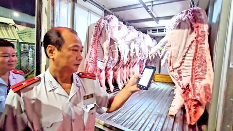 Cơ quan chức năng tại TP.HCM kiểm tra nguồn gốc thịt heo về chợ đầu mối - Ảnh: NGUYỄN TRÍ Cơ quan chức năng tại TP.HCM kiểm tra nguồn gốc thịt heo về chợ đầu mối - Ảnh: NGUYỄN TRÍ