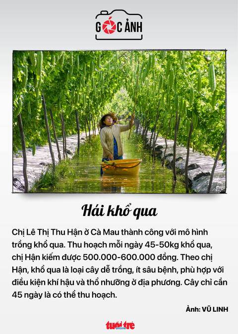 Tin tức sáng 15-3: Đề nghị xem lại mức tăng lương hưu, trợ cấp; Tầm soát bệnh thận cho người trẻ- Ảnh 8. Tin tức sáng 15-3: Đề nghị xem lại mức tăng lương hưu, trợ cấp; Tầm soát bệnh thận cho người trẻ- Ảnh 8.