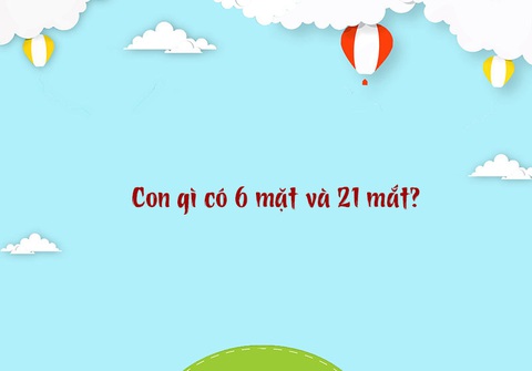 Câu đố hack não: Con gì càng lớn càng nhỏ?- Ảnh 3. Câu đố hack não: Con gì càng lớn càng nhỏ?- Ảnh 3.