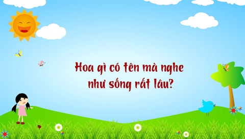 Câu đố hack não: Cái gì càng sáng thì càng tối?- Ảnh 5. Câu đố hack não: Cái gì càng sáng thì càng tối?- Ảnh 5.
