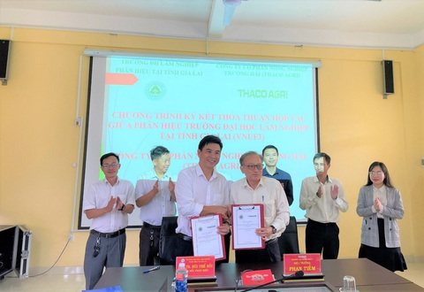 Phân hiệu trường đại học Lâm nghiệp tại Gia Lai- Ảnh 3. Phân hiệu trường đại học Lâm nghiệp tại Gia Lai- Ảnh 3.