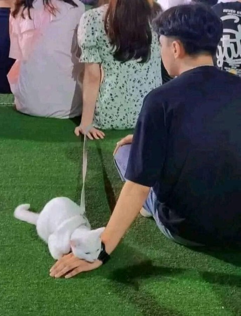 Ảnh vui 15-3: Trái mãng cầu không ai nỡ ăn- Ảnh 5. Mê trai đầu thai mới hết.