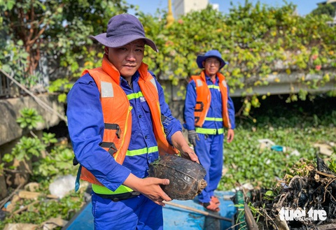 Công nhân 'đội nắng' gom 100 tấn rác kênh Nhiêu Lộc - Thị Nghè- Ảnh 5. Sáng nay, trong lúc thu gom rác trên kênh, các công nhân bất ngờ phát hiện 1 con rùa đang bò lổm ngổm trong đống rác