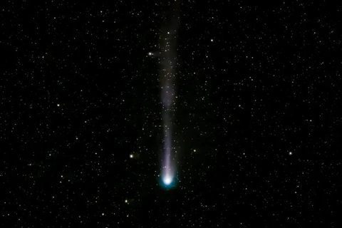 Hình ảnh Sao chổi Quỷ quan sát qua kính thiên văn ngày 5/3/2024. (Nguồn: New Scientist) Hình ảnh sao chổi Quỷ quan sát qua kính thiên văn ngày 5-3-2024 - Ảnh: Nguồn: New Scientist