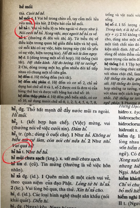 Vua tiếng Việt lại bị bắt lỗi: Hể hả có giống hỉ hả?- Ảnh 3. Từ điển tiếng Việt do Hoàng Phê chủ biên, 1998 giải thích về hai từ "hỉ hả" và "hể hả" - Ảnh: ĐẬU DUNG